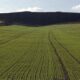 An aerial shot of a grassy field with a mountain in the distance at Wiltshire, UK